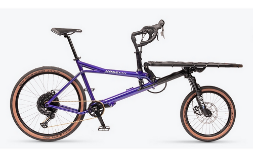 Hasebikes, Modell: Gravit Dust Custom
