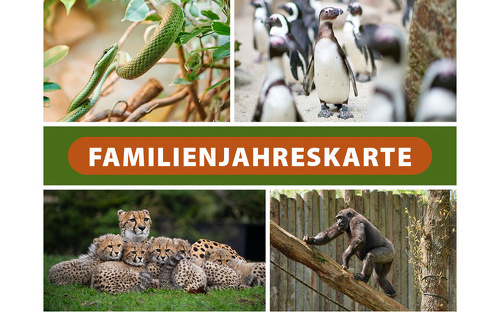 Große Familien-Jahreskarte für den Allwetterzoo Münster
